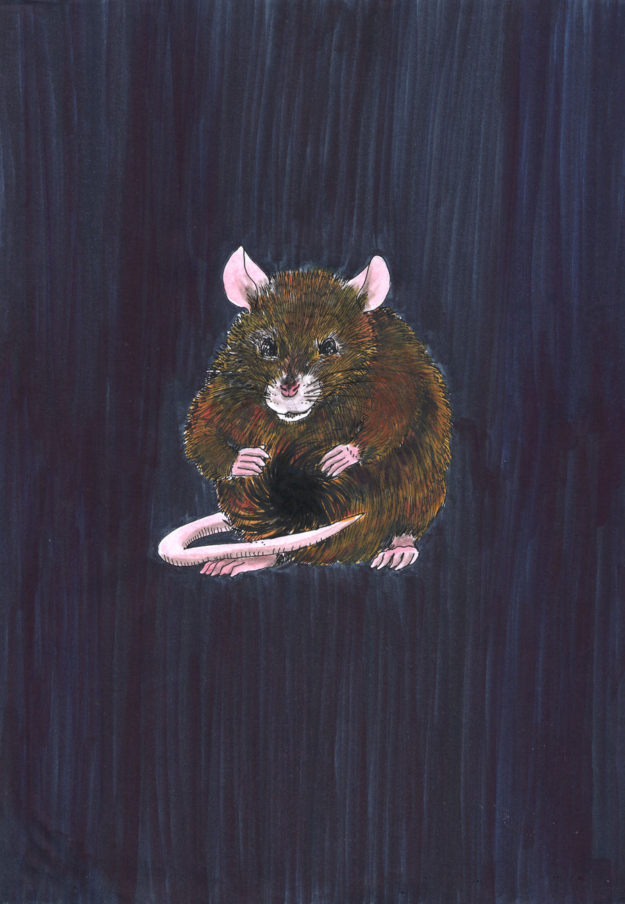rat master by Adblenturer on DeviantArt
