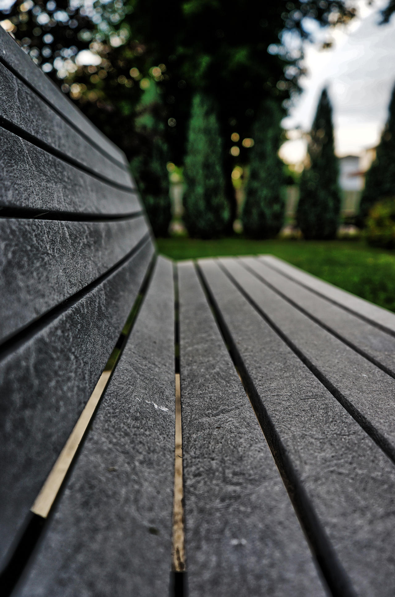 Sit, stay awhile by WTBE7 on DeviantArt