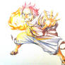 Fairy Tail ~ Natsu (Mashima)