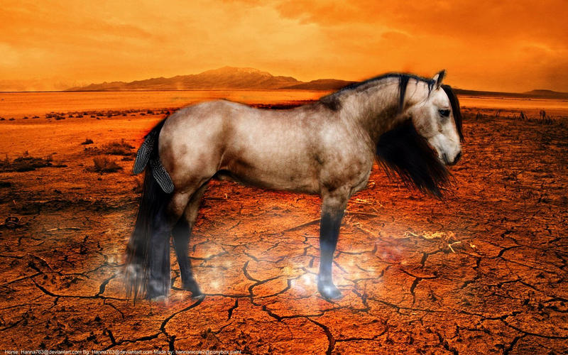 Magic Desert by Hanna763 on DeviantArt