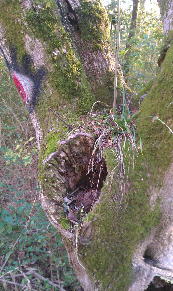 Ghoul Tree by Asy1umRat on DeviantArt