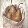 pears watercolor