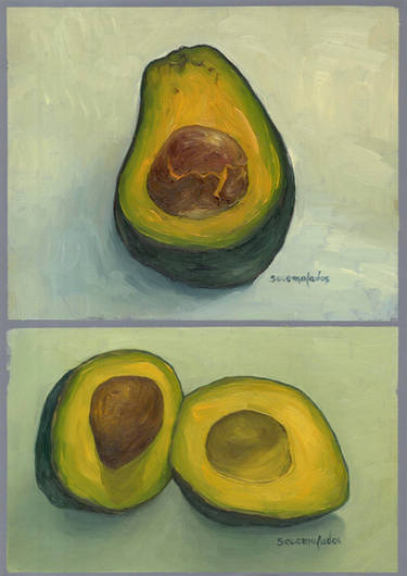 Avocado studies ,still life oil paintings