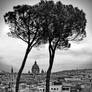 eternal city II