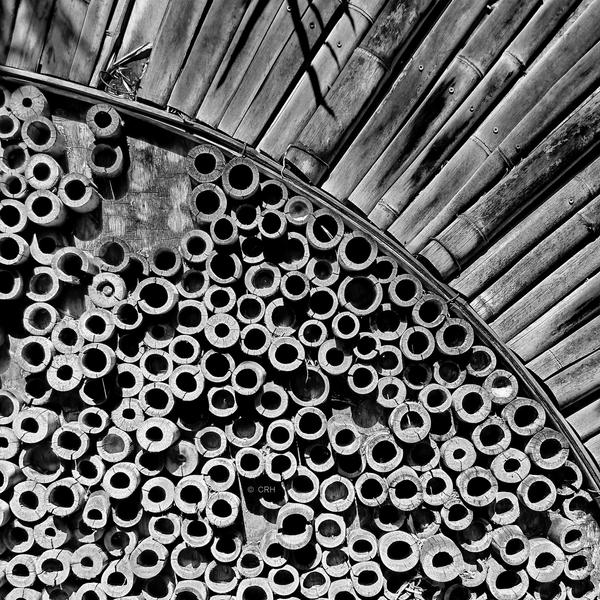bamboo abstract #2