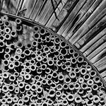 bamboo abstract #2 by crh