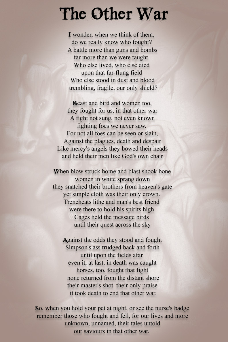 The Other War -poem by thereisnosaurus