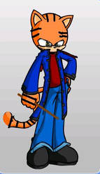 Steel the Tiger Wizard