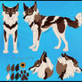 Kiyomi Reference Sheet