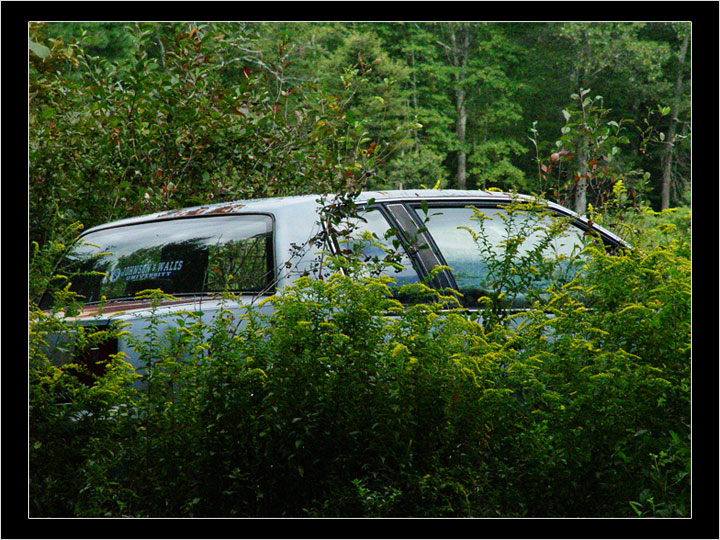 Overgrown Car