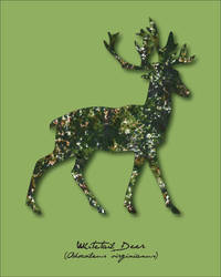 Pride Month - Green (Deer/Stag)