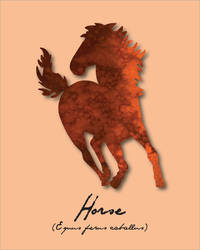 Pride Month - Orange (Horse)