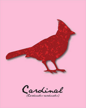 Pride Month - Red (Cardinal)