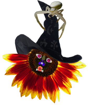 Sunflower witch and pet.
