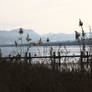 Spaetwinter am Ammersee