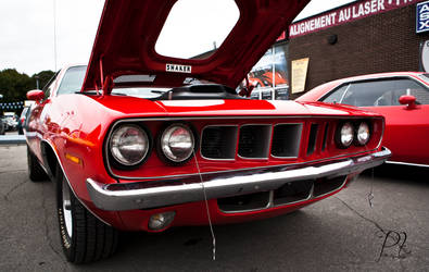 Cuda