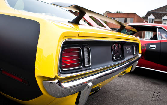 Cuda yellow 2