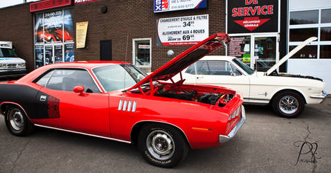 Cuda340 and Mustang