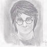 Dan Radcliffe as Harry Potter