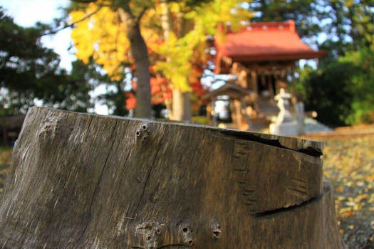 Japanese-Shrine