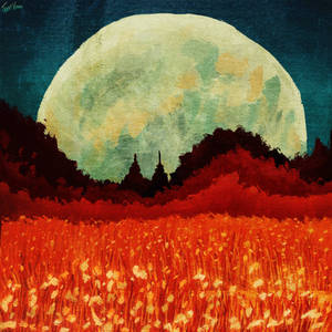 Moonlit Field