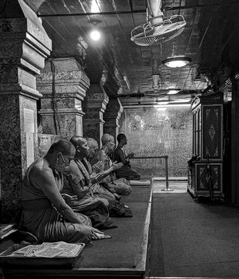 Chiang Mai Monks