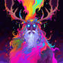 Druid Shaman