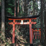 Torri Gate Hike - Kyoto, Japan