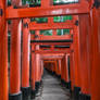 Torii Gates - Kyoto, Japan