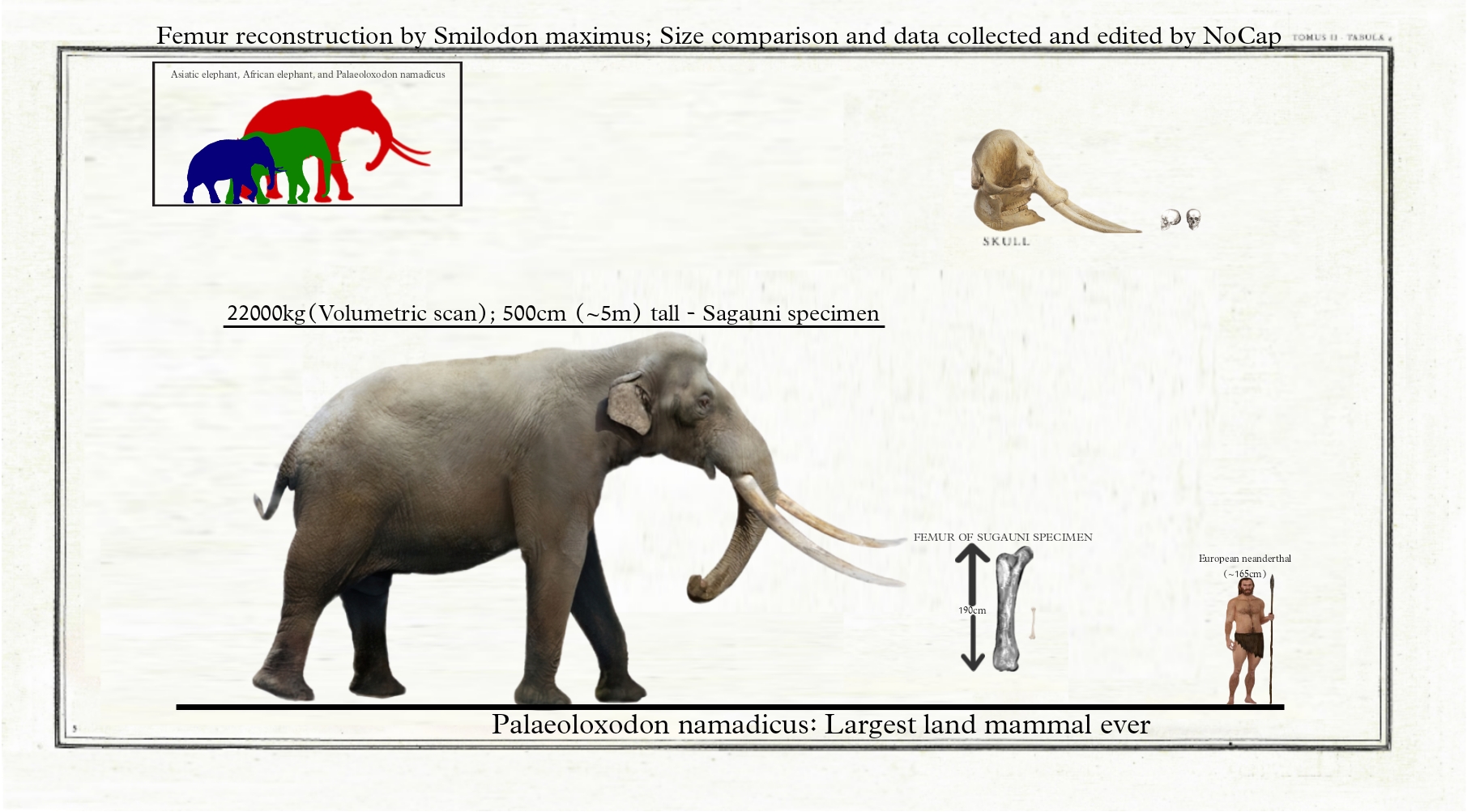 Palaeoloxodon Namadicus Dinosaur Home - vrogue.co