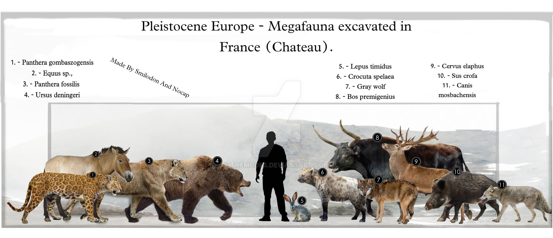 Pleistocene Europe Megafauna Excavated In France By TheModes On pleistocene-europe-megafauna-excavated-in-france-by-themodes-on