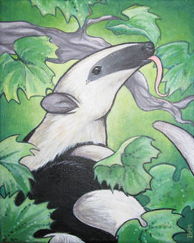 Tamandua