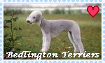 Bedlington Terrier Stamp