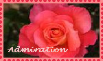 Pink Rose Stamp