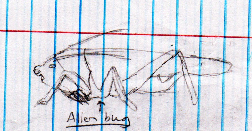 Alien Bug by coyearth on DeviantArt