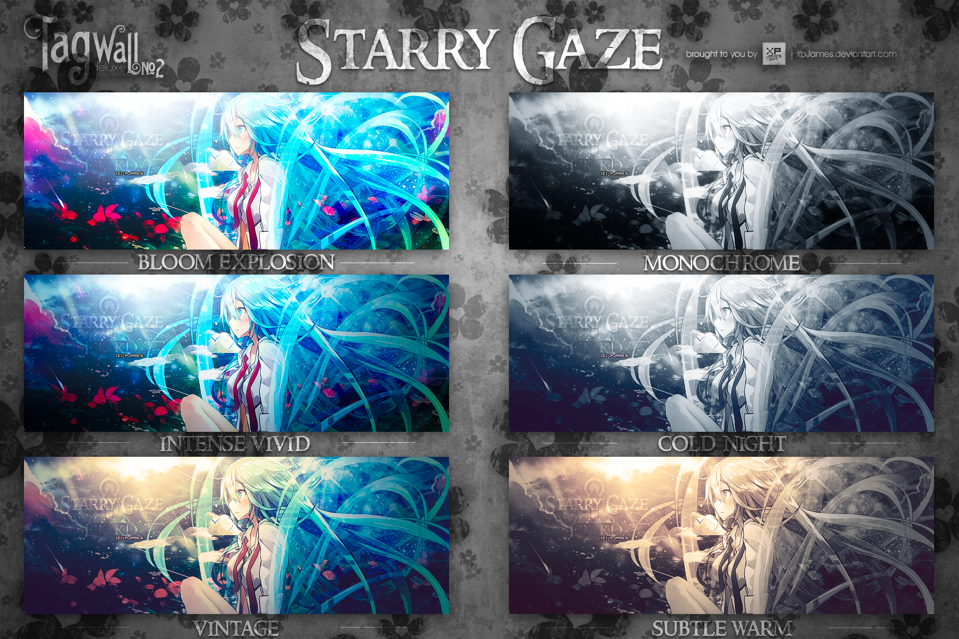 Starry Gaze Tag Wall