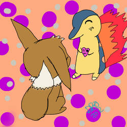 Eevee and cyndaquil