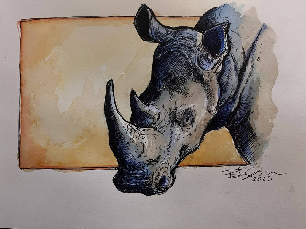 Rhino by BennyP76 on DeviantArt
