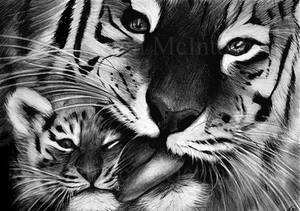 Tiger and cub