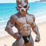 beach Wolf