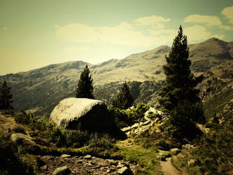 Nature by Silence-in-your-head