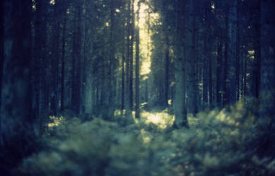 Nature by Silence-in-your-head