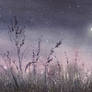 Moonlight's Song