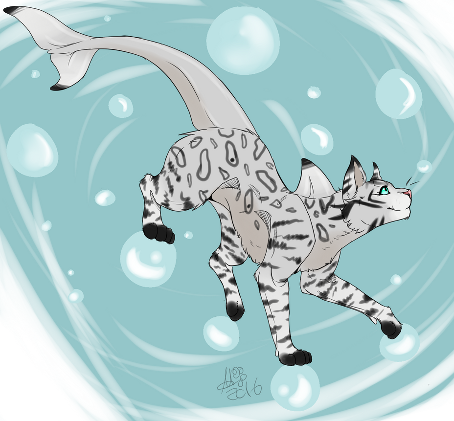 Shark Cat by Skunktastic on DeviantArt