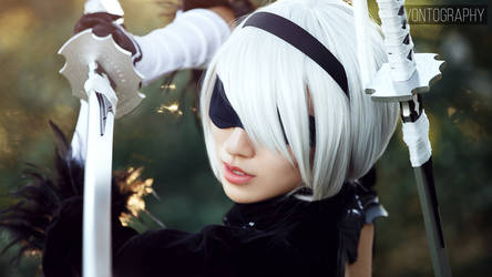 2B