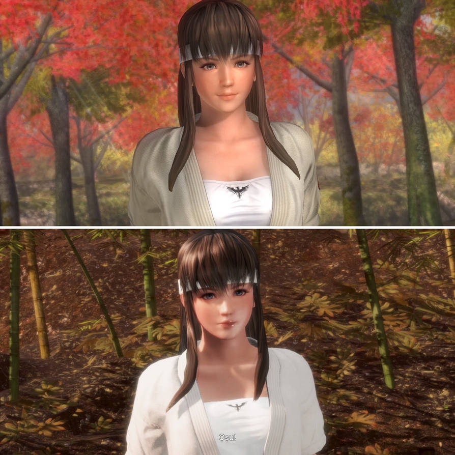 Graphic difference with Hitomi in DOA5 and DOA6 by KyleKatarn1980 on ...