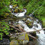 Horsetail Waterfall