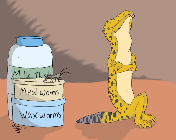 Fussy Gecko