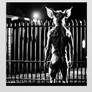 Pig-Man by Fence - Polaroid Style
