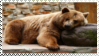 Bear [stamp]